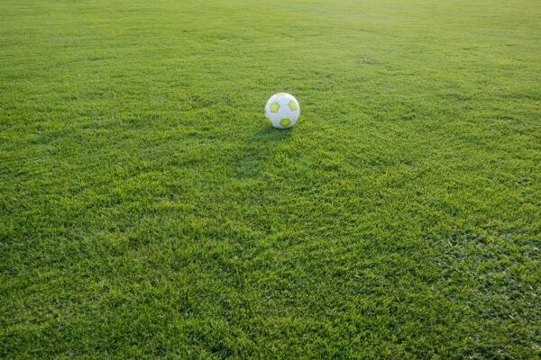 Keberadaan PSSI Tebing Tinggi dalam Meningkatkan Kualitas Sepak Bola Lokal